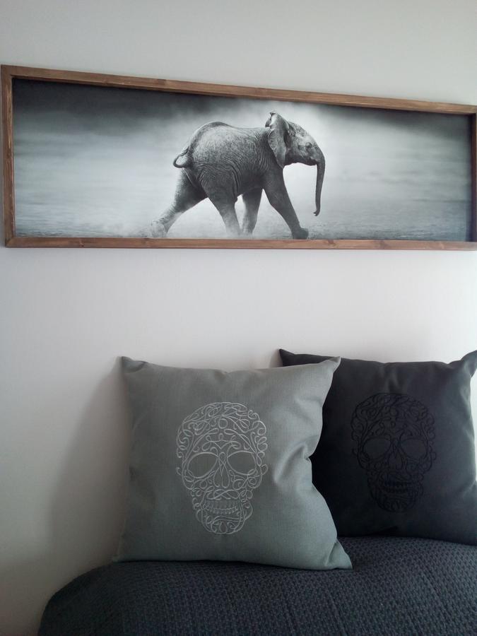 Tribal Concept Appartement Kaapstad Buitenkant foto